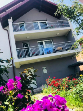 Ilidža Apartmants